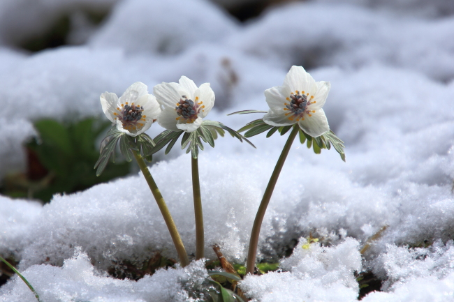 社会福祉法人スプリング｜基本理念「私たちは、笑顔でやさしく、生きる力をサポートします」